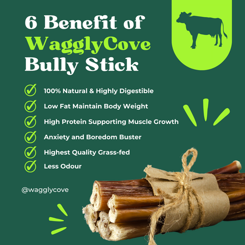 Wagglycove 6' Bully Stick (Straight / Braided) Dog Chew