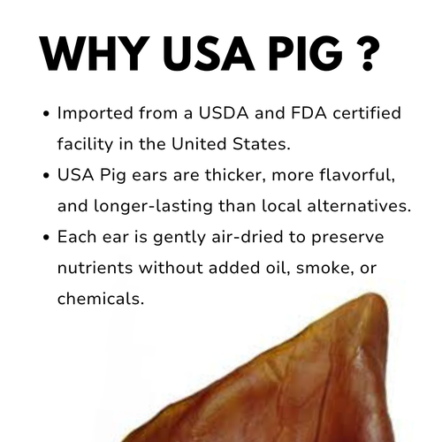 WagglyCove Air Dried Pig Ear (Whole)